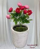 11'' Ranunculus Bud Bush ( B580-Pink/ Fuchsia )