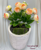 11'' Ranunculus Bud Bush ( B580-Champagne )