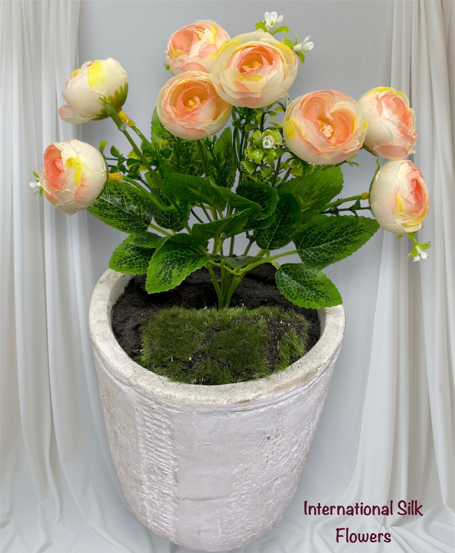 11'' Ranunculus Bud Bush ( B580-Champagne )