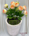 11'' Ranunculus Bud Bush ( B580-Champagne )