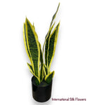 19" Sansevieria ( LPS951-VG )