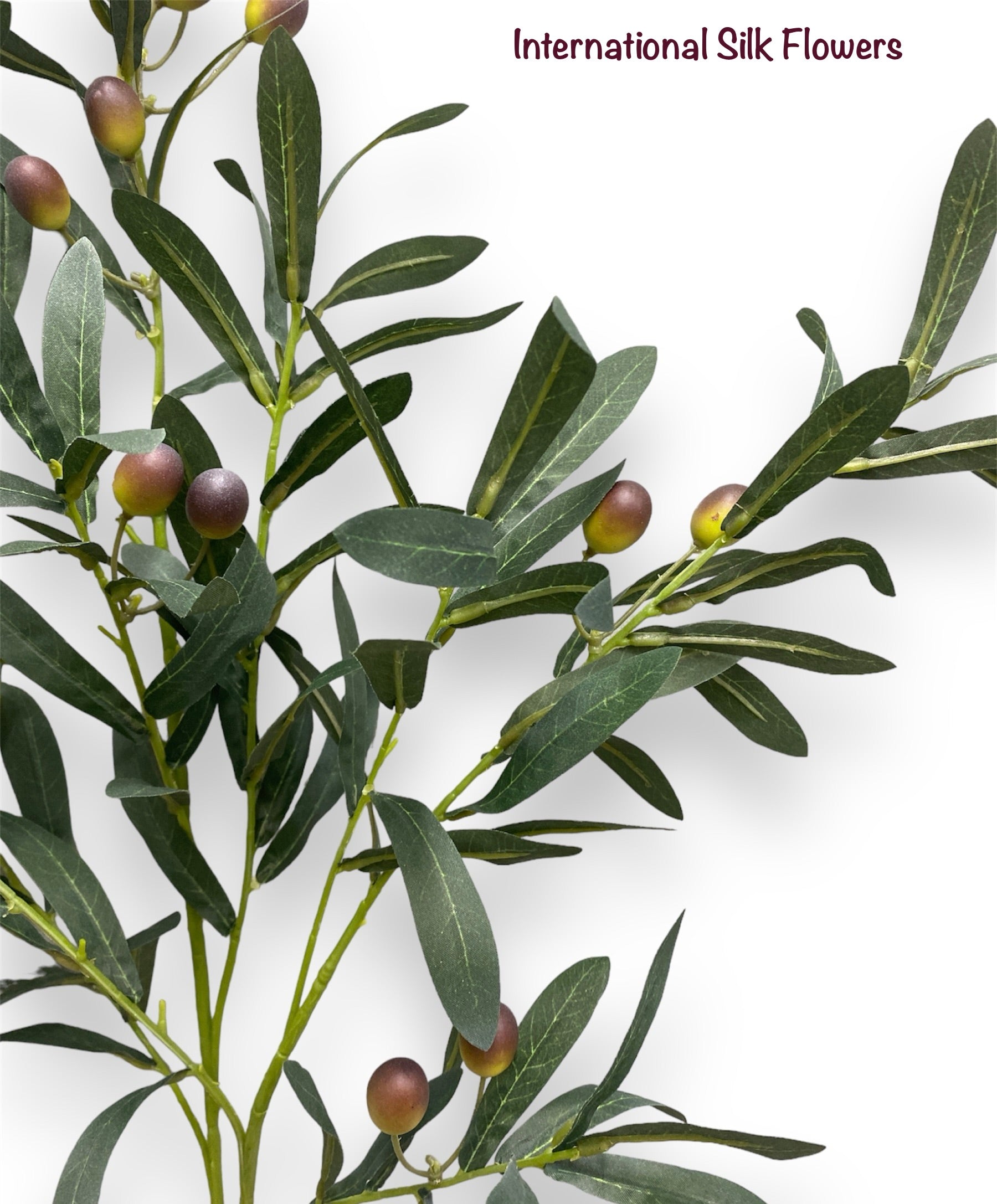 42" Olive Spray ( VSO576-GR )