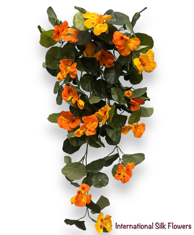30" Nasturtium Hanging Bush ( FBN779-OR )