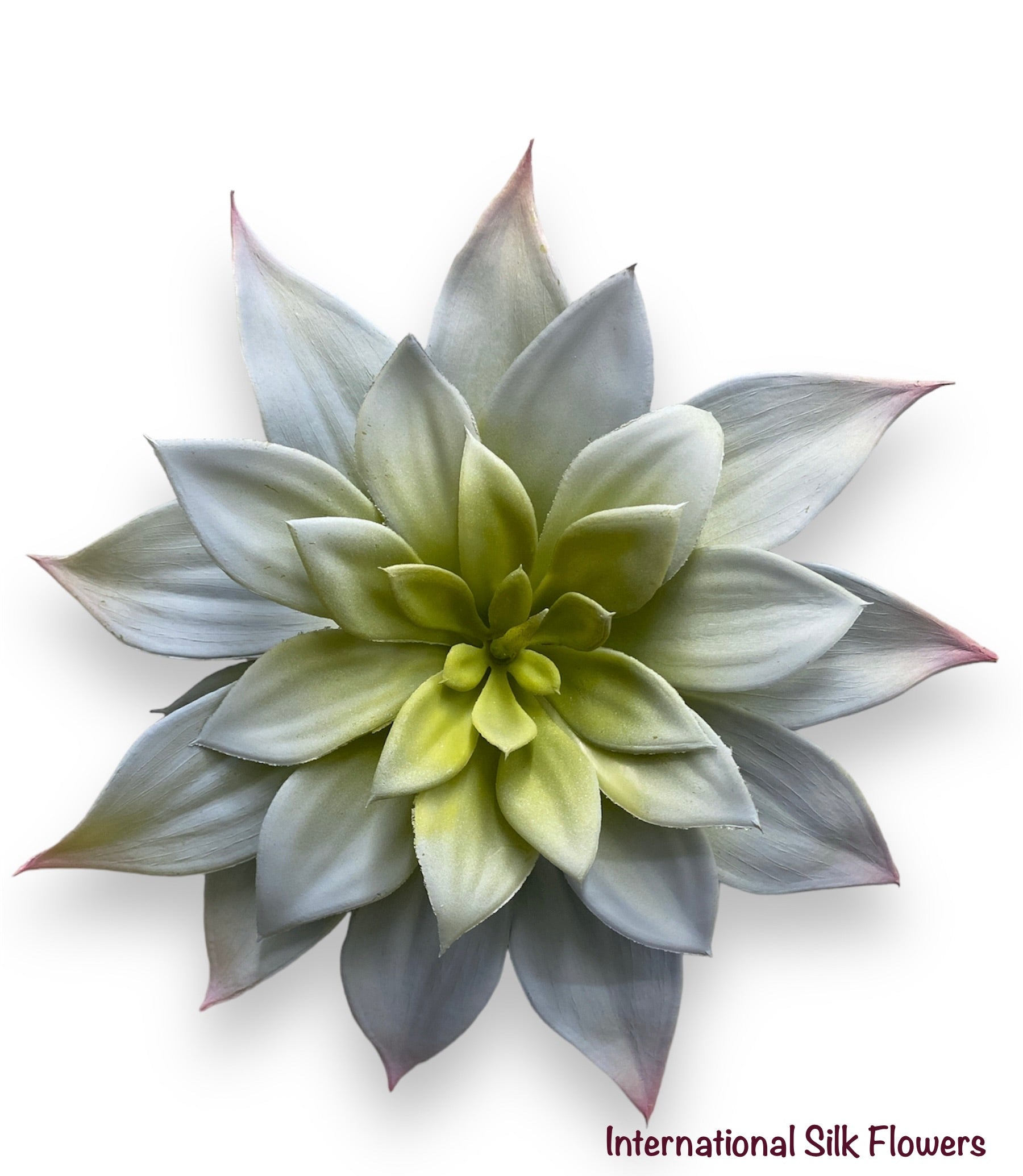 7'' Butterfly Succulent ( 142770-Grey )