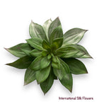 7'' Butterfly Succulent ( 142770-Green )