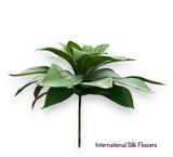 7'' Butterfly Succulent ( 142770-Green )