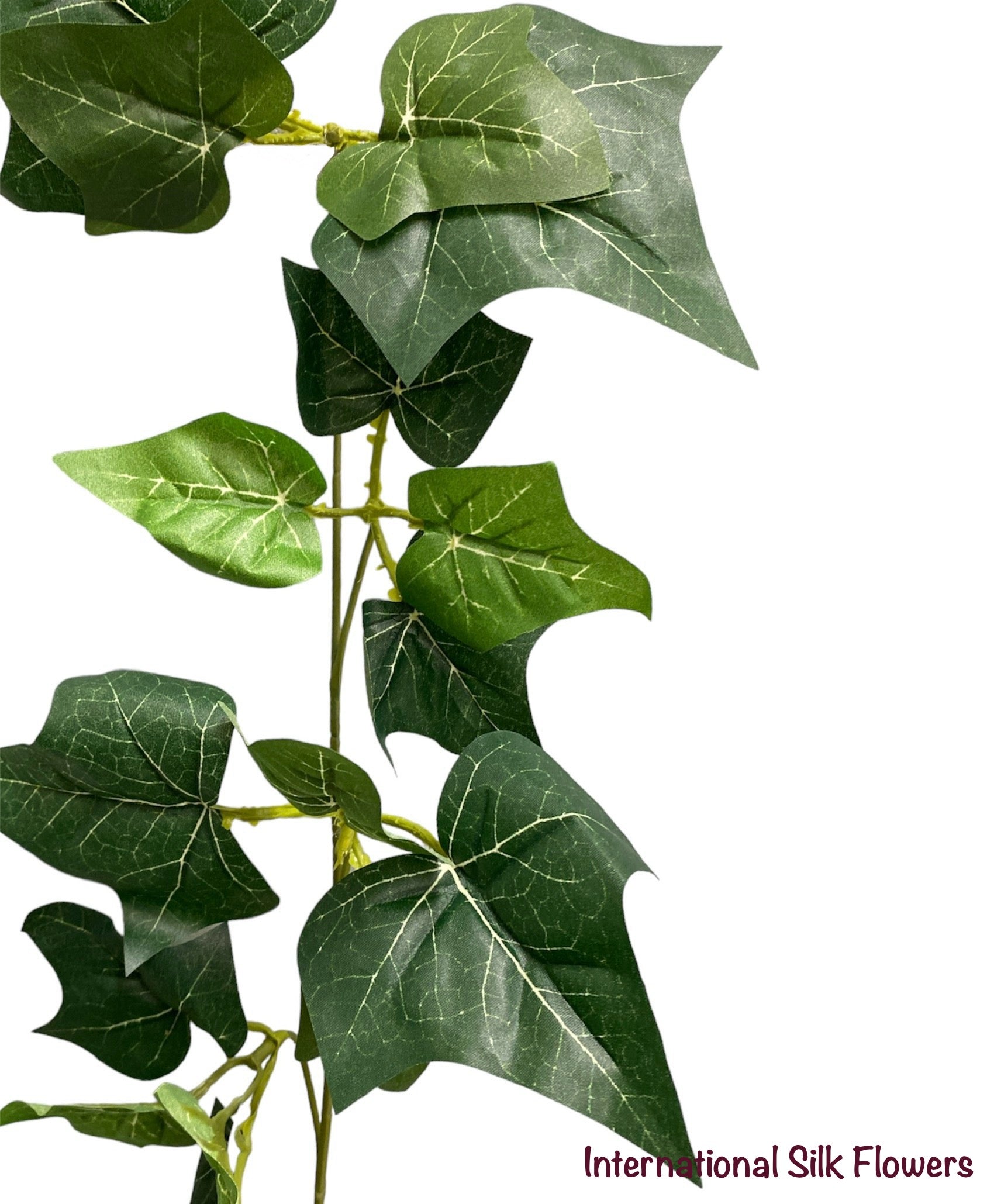 6' English IVY Garland ( INT573 )