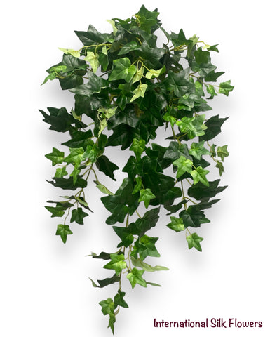 31'' English Hanging Bush ( INT8423 )
