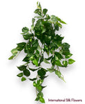 31'' Pothos Hanging Bush ( INT8425 )