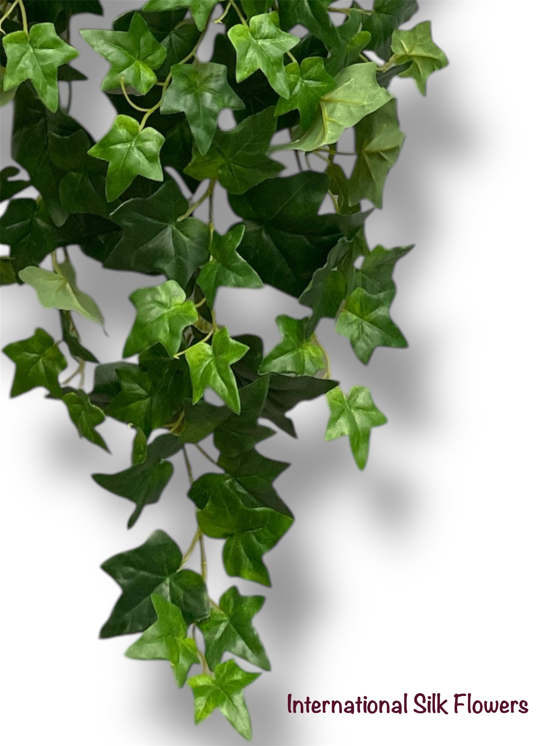 29'' English IVY Hanging Bush ( ( INT8408 )