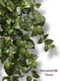 36'' Pothos Hanging Bush ( BHF626-GR )