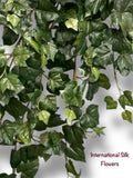 36'' Algerian IVY Hanging Bush ( BFH623 )