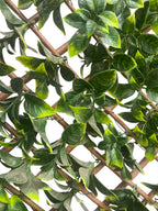 UV Protected Artificial Gardenia Leaf Trellis ( AA4316-GR )