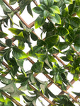 UV Protected Artificial Gardenia Leaf Trellis ( AA4316-GR )