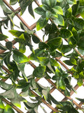 UV Protected Artificial Gardenia Leaf Trellis ( AA4316-GR )