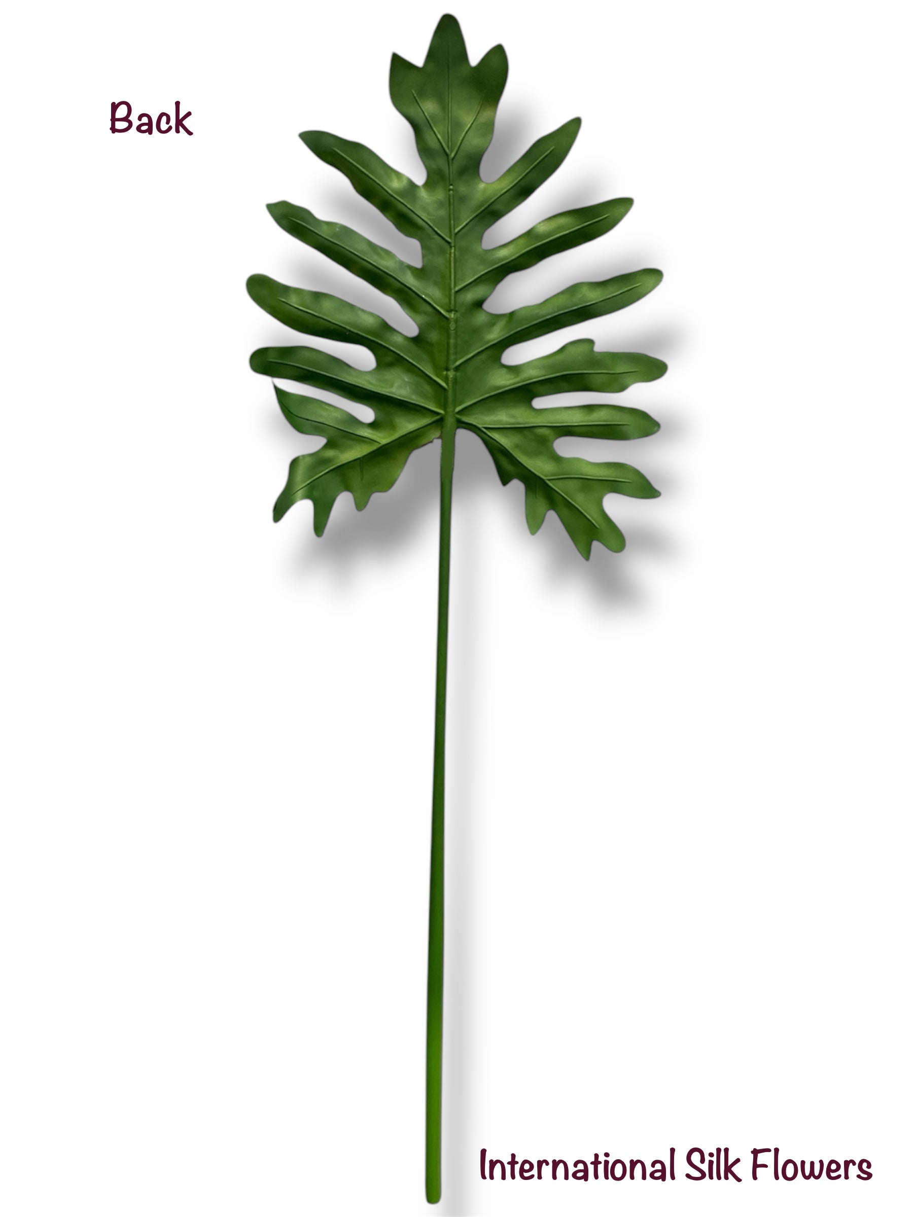 30'' Long Selloum Spray ( INT5838-Green )