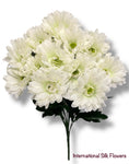 19'' Gerbera Daisy Bush ( B1414- Cream ) INT1414