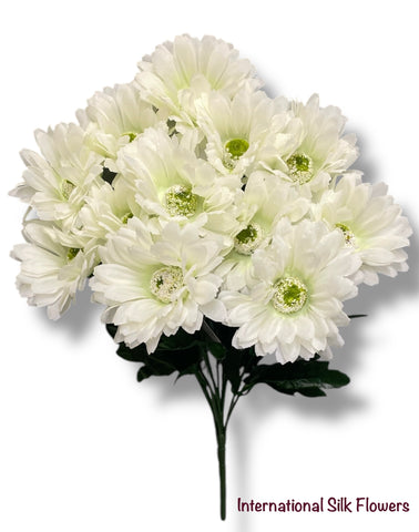 19'' Gerbera Daisy Bush ( B1414- Cream ) INT1414