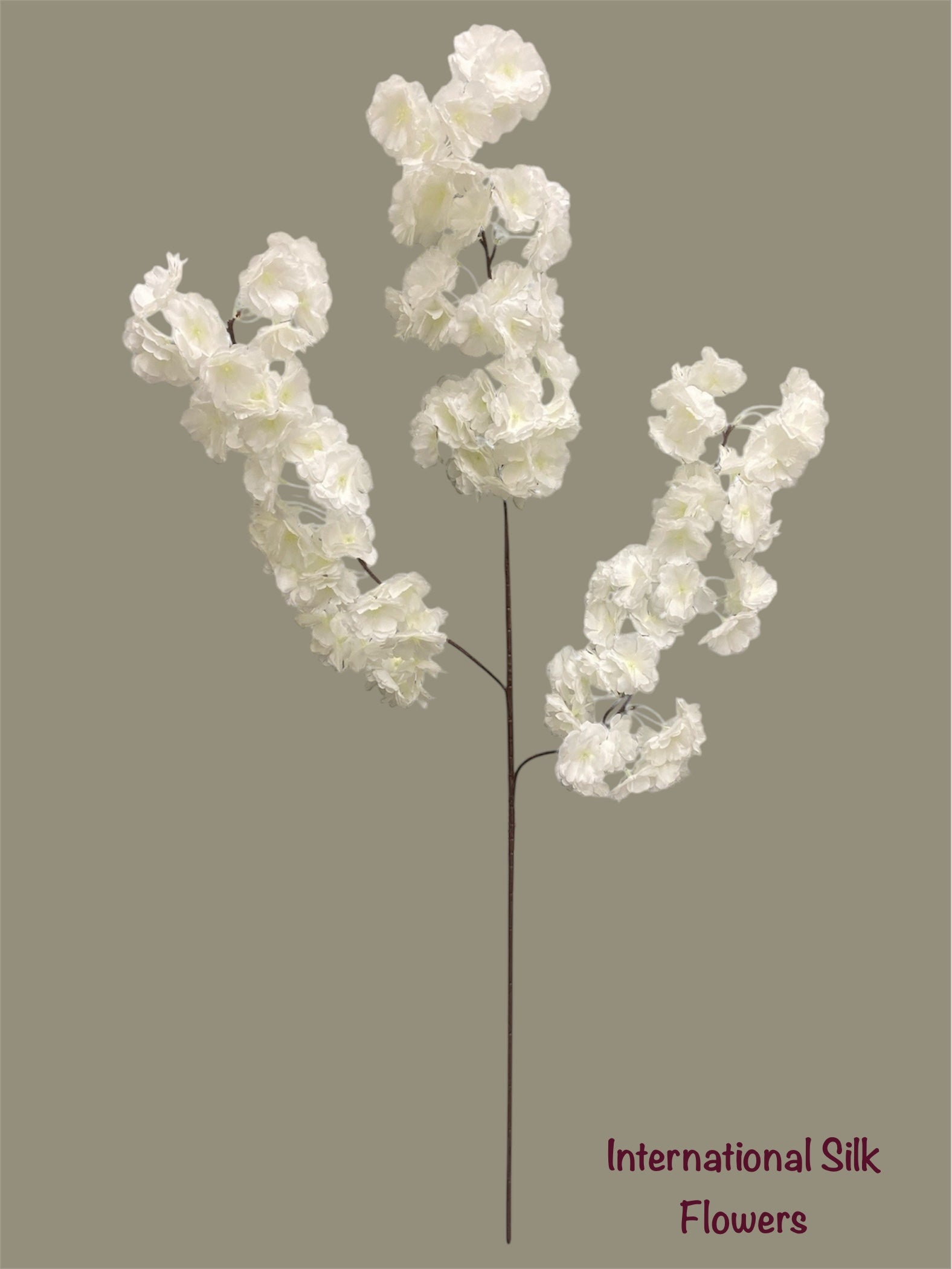 36'' Cherry Blossom ( SS120-Cream ) ( INT120-Cream )