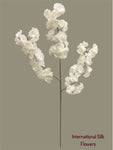 36'' Cherry Blossom ( SS120-Cream ) ( INT120-Cream )