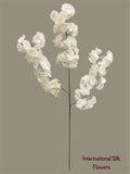 36'' Cherry Blossom ( SS120-Cream ) ( INT120-Cream )