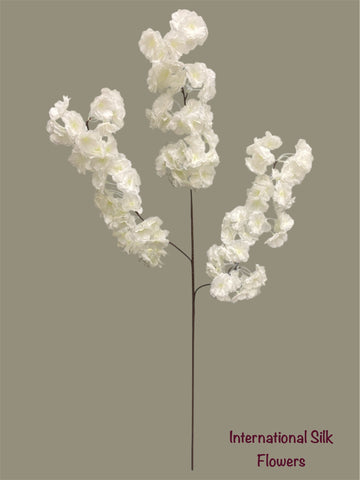 36'' Cherry Blossom ( SS120-Cream ) ( INT120-Cream )