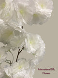 36'' Cherry Blossom ( SS120-Cream ) ( INT120-Cream )
