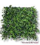20'' Reineckla Carnea ( 20038-Light Green )