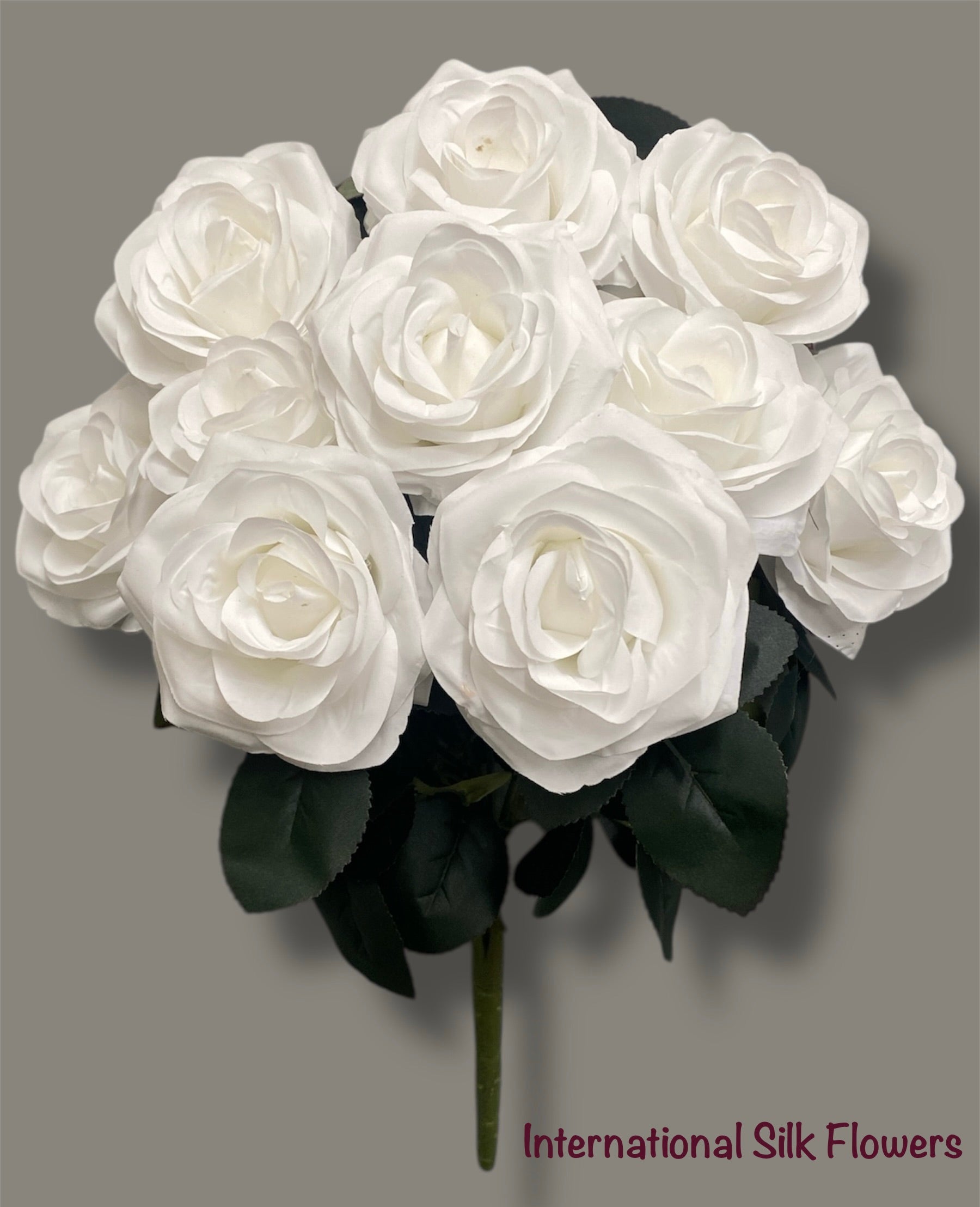19'' Deluxe Rose Bush ( B1024N- #1White )