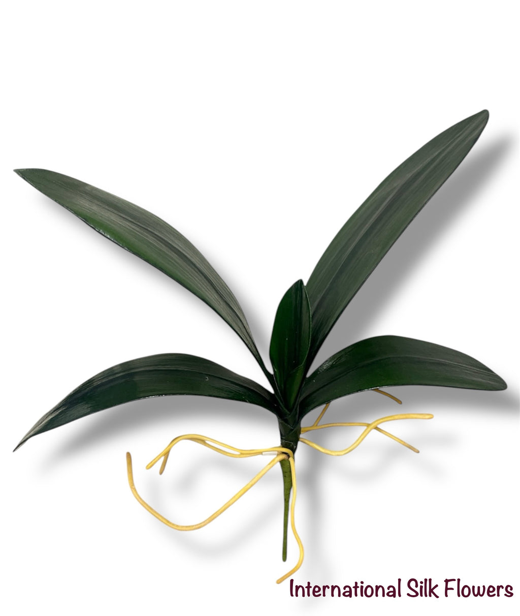 14" Phalaenopsis Orchid Leaf Spray ( JYL915-GR )