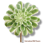 5.5" Real Touch Emerald Ice Aeonium Pick ( CKA145-GR/VG )