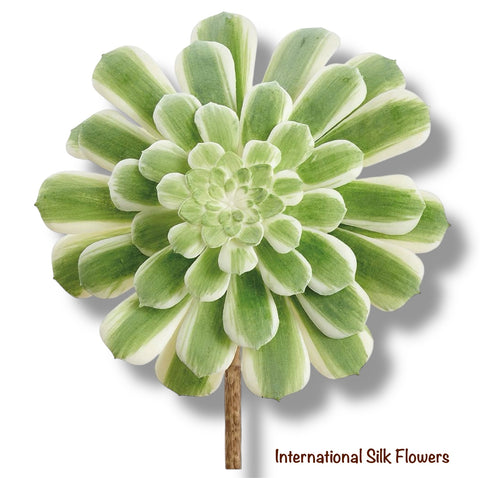 5.5" Real Touch Emerald Ice Aeonium Pick ( CKA145-GR/VG )