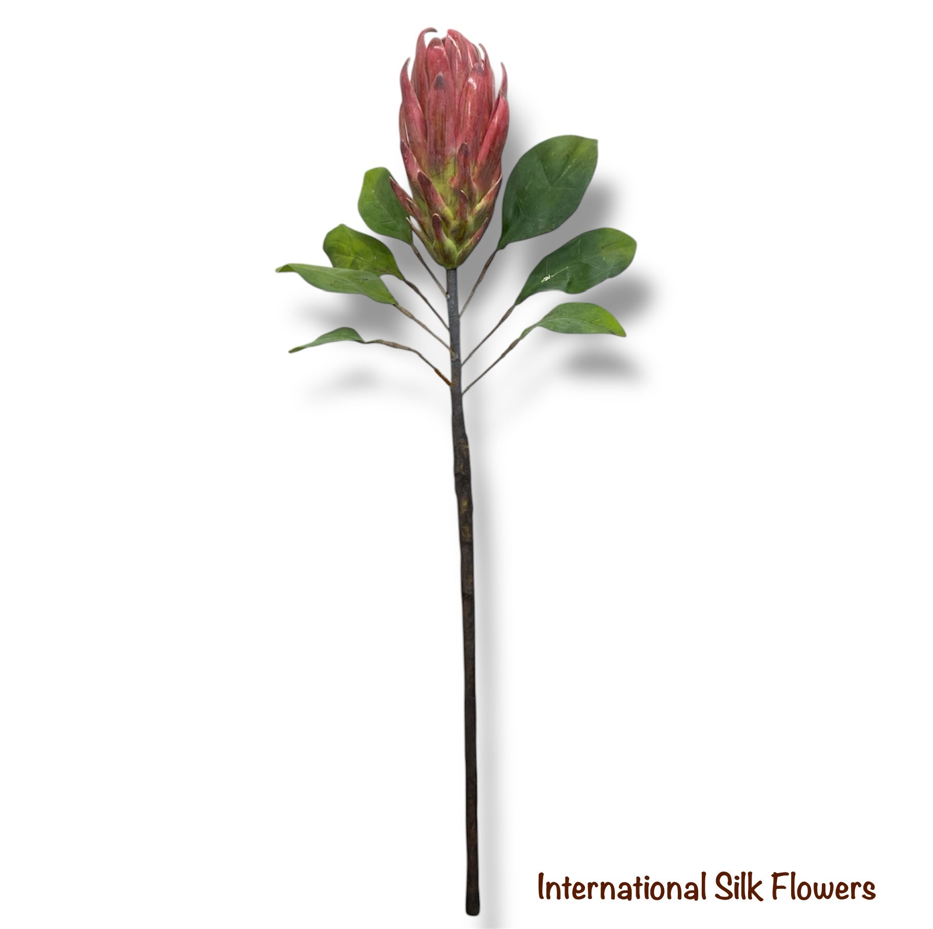 29" Protea Spray ( FSP436-FU/GR )