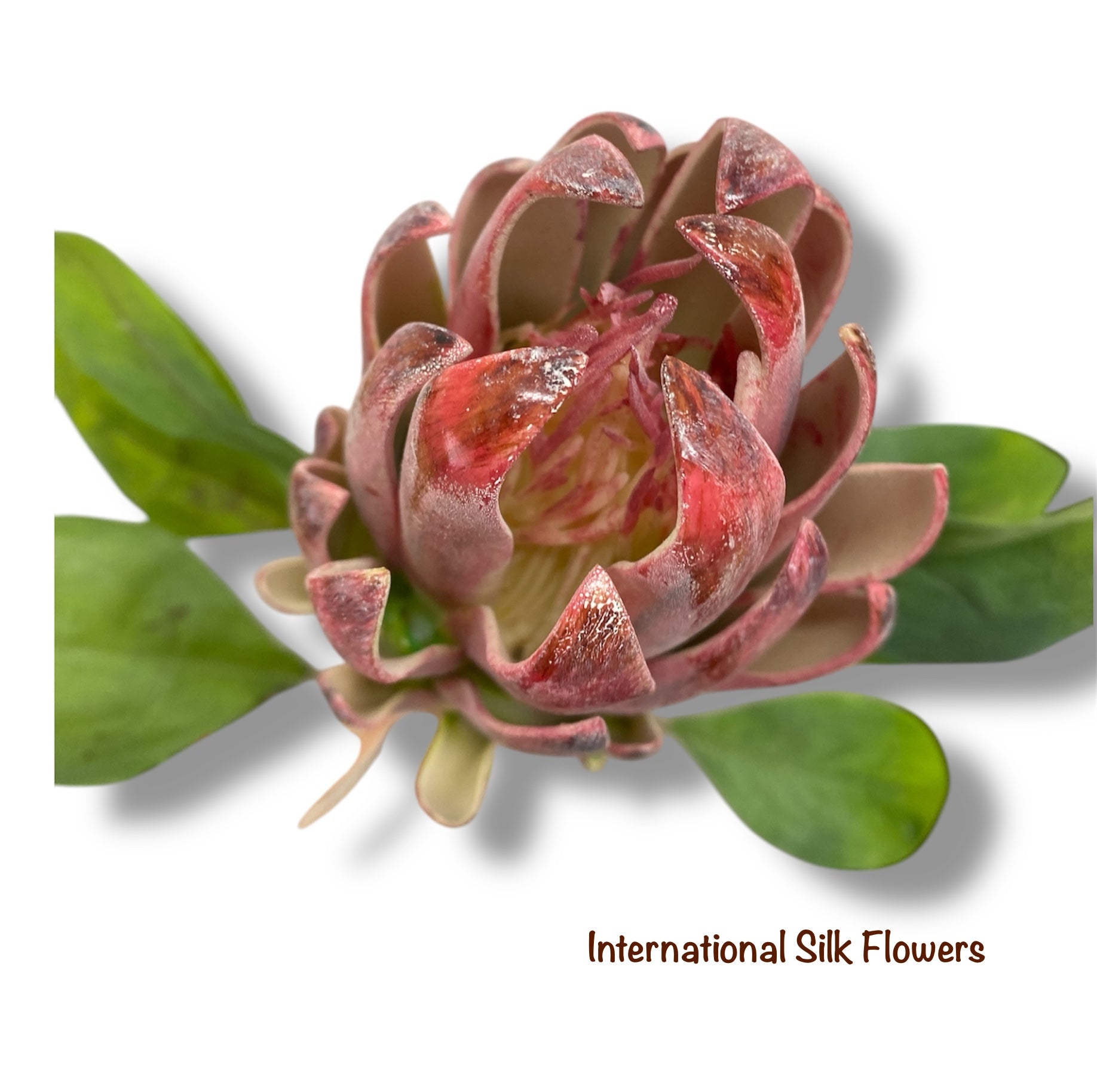 29" Protea Spray ( FSP436-FU/GR )