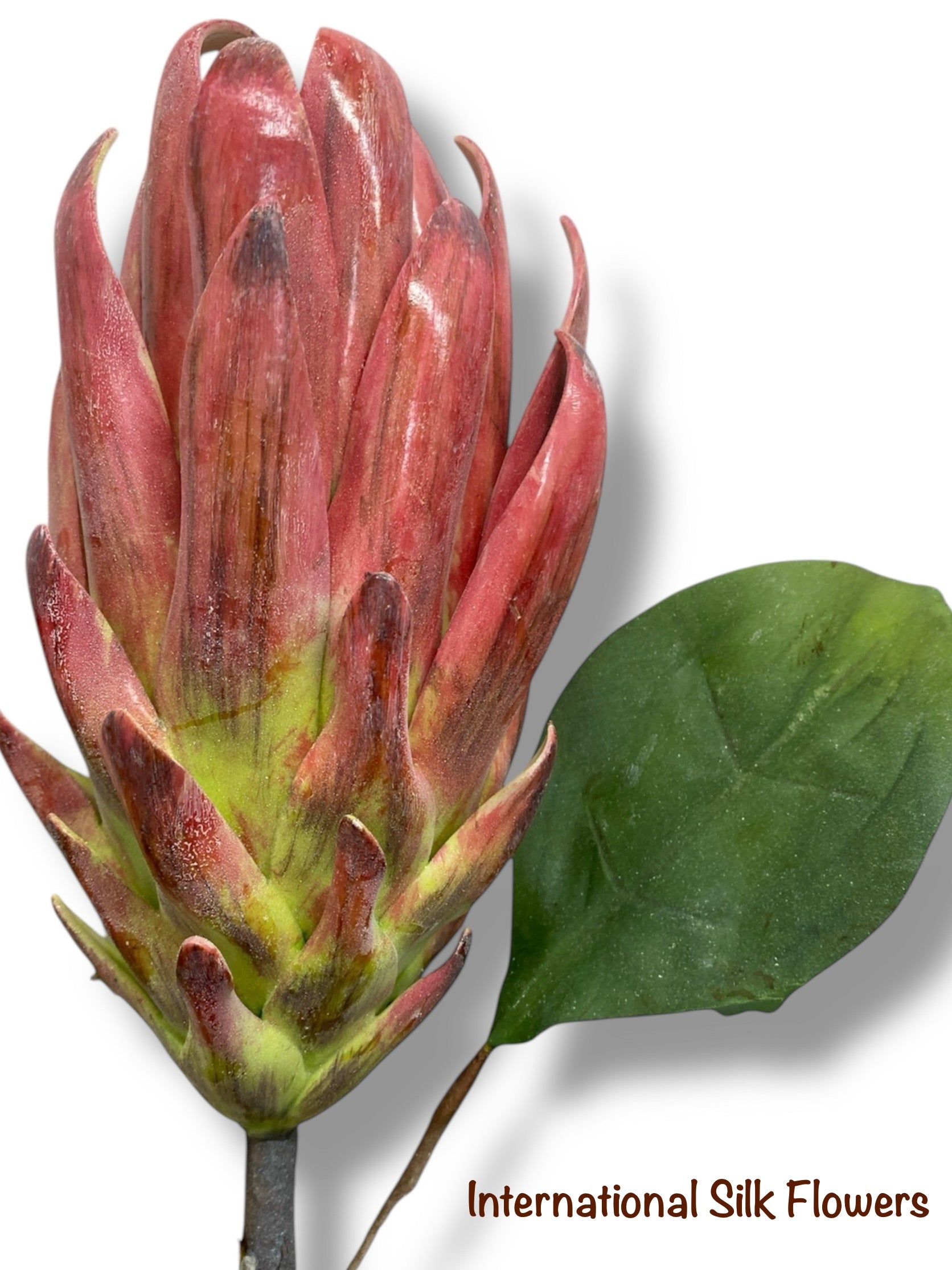 29" Protea Spray ( FSP436-FU/GR )