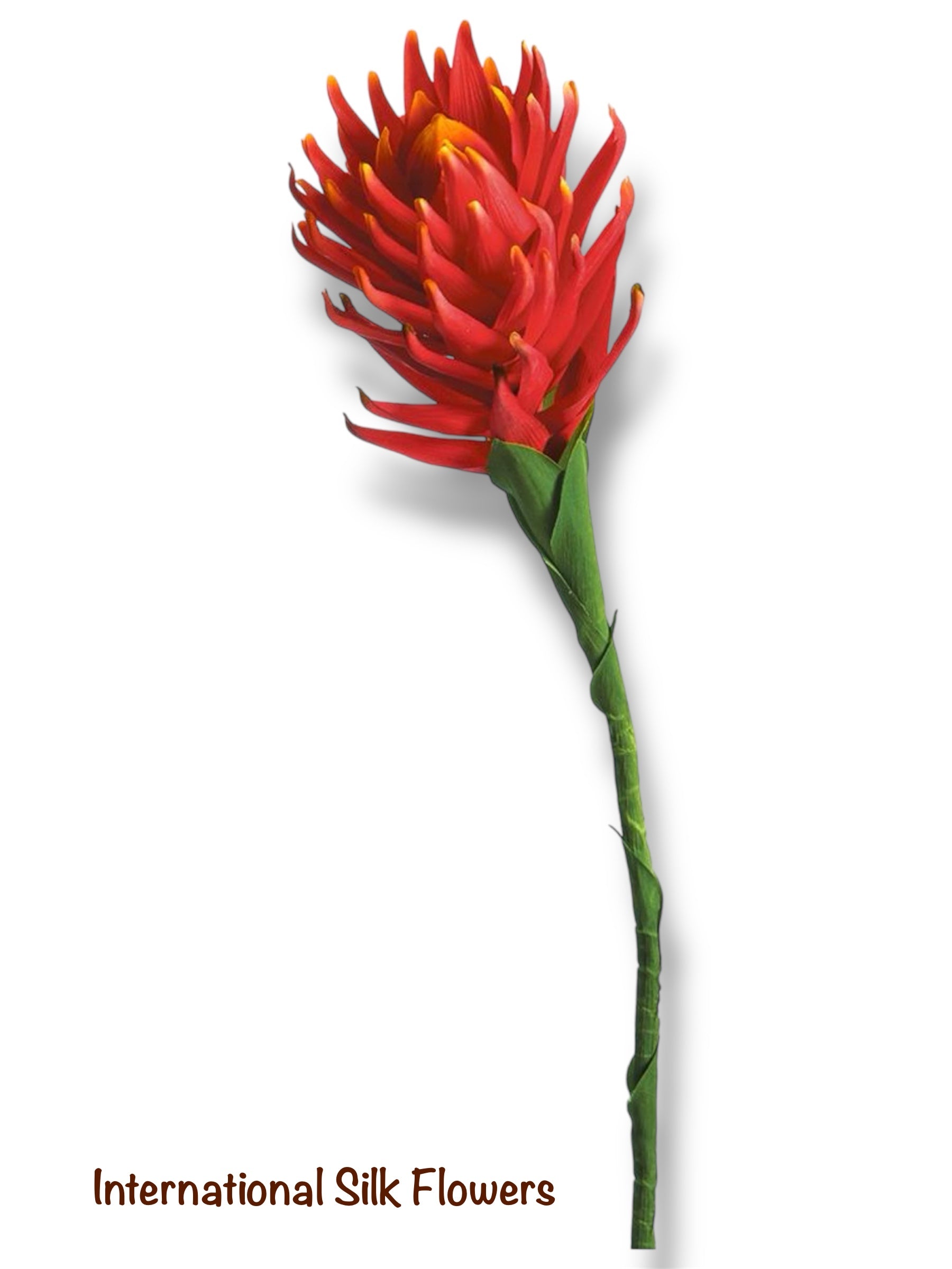 36'' Protea Spray ( HSP325-RE/OR )