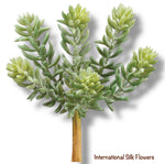 7" Soft Sedum Pick  ( CS3012-GR/GY )