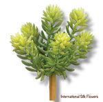 7" Soft Sedum Pick ( CS3012-GR )