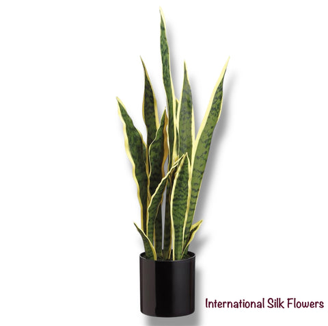 26" Sansevieria ( LPS953-VG )