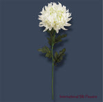 24'' Chrysanthemum Spray ( FSC128-WH )