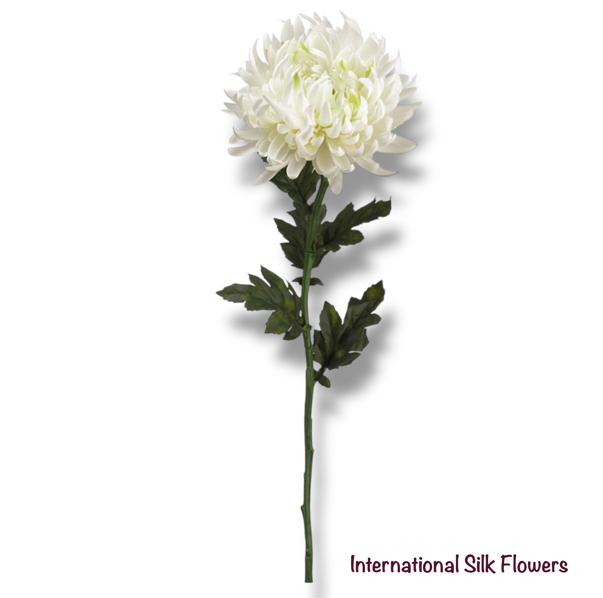 24'' Chrysanthemum Spray ( FSC128-WH )