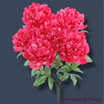 19" Peony Bush ( FBP343-FU )