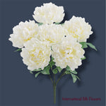 19" Peony Bush ( FBP343-CR )