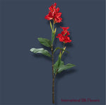 56.5" Canna Lily Spray ( FSC481-RE )
