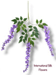 37'' Cassia Fistula ( H3001-LV )