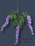 37'' Cassia Fistula ( H3001-LV )