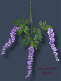37'' Cassia Fistula ( H3001-LV )