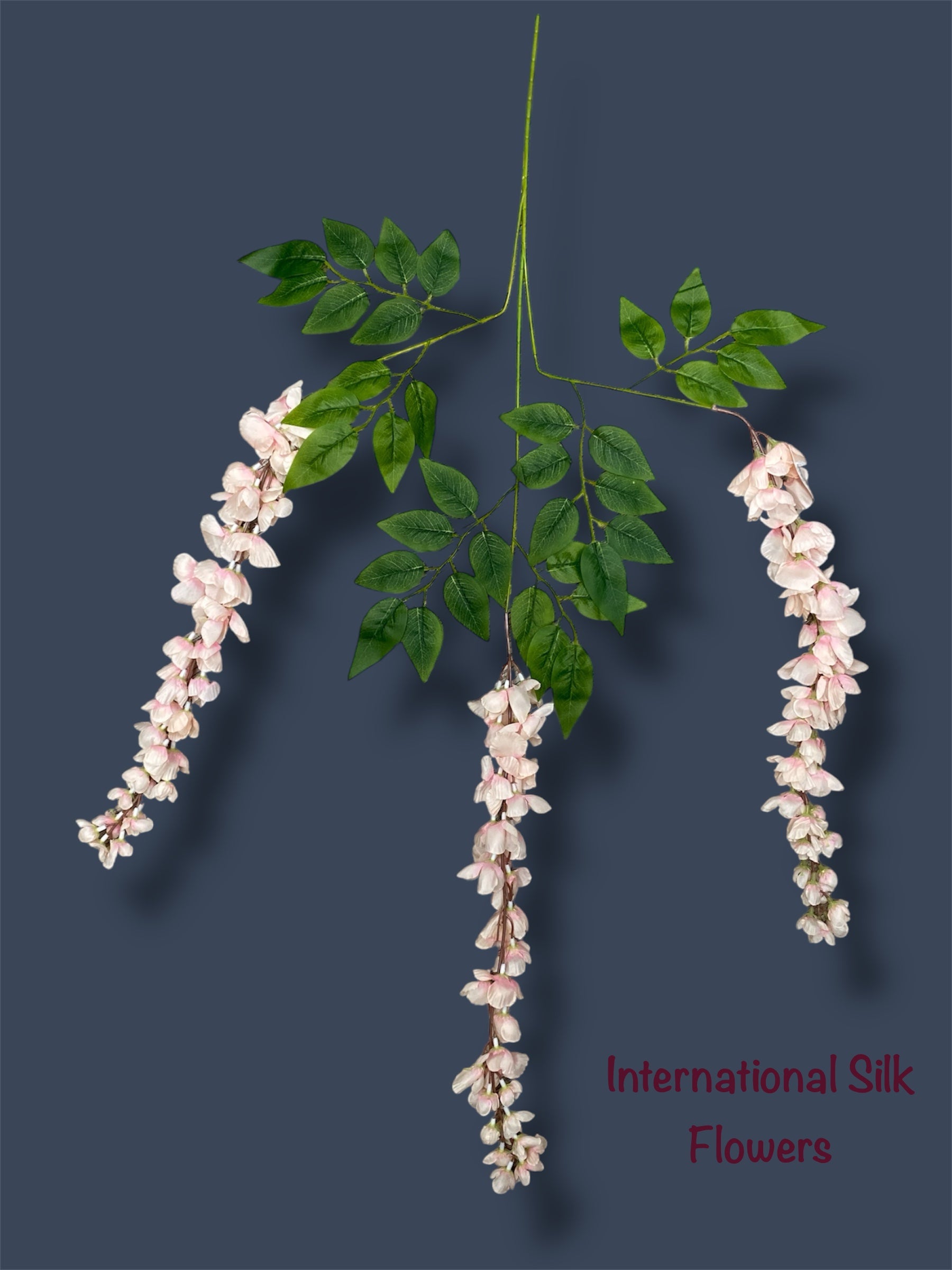 37'' Cassia Fistula ( H3001-Blush )