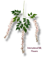 37'' Cassia Fistula ( H3001-Blush )