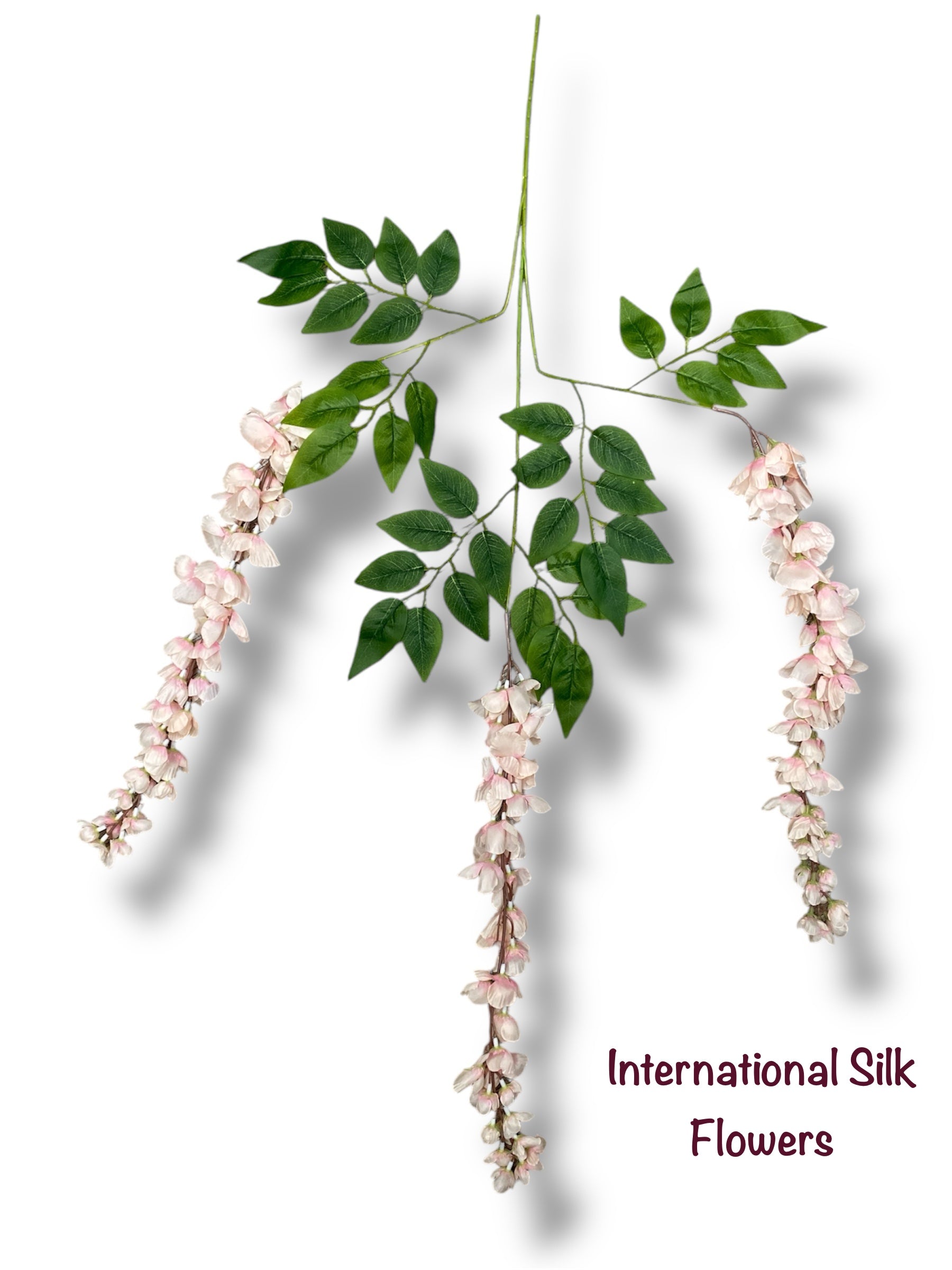 37'' Cassia Fistula ( H3001-Blush )